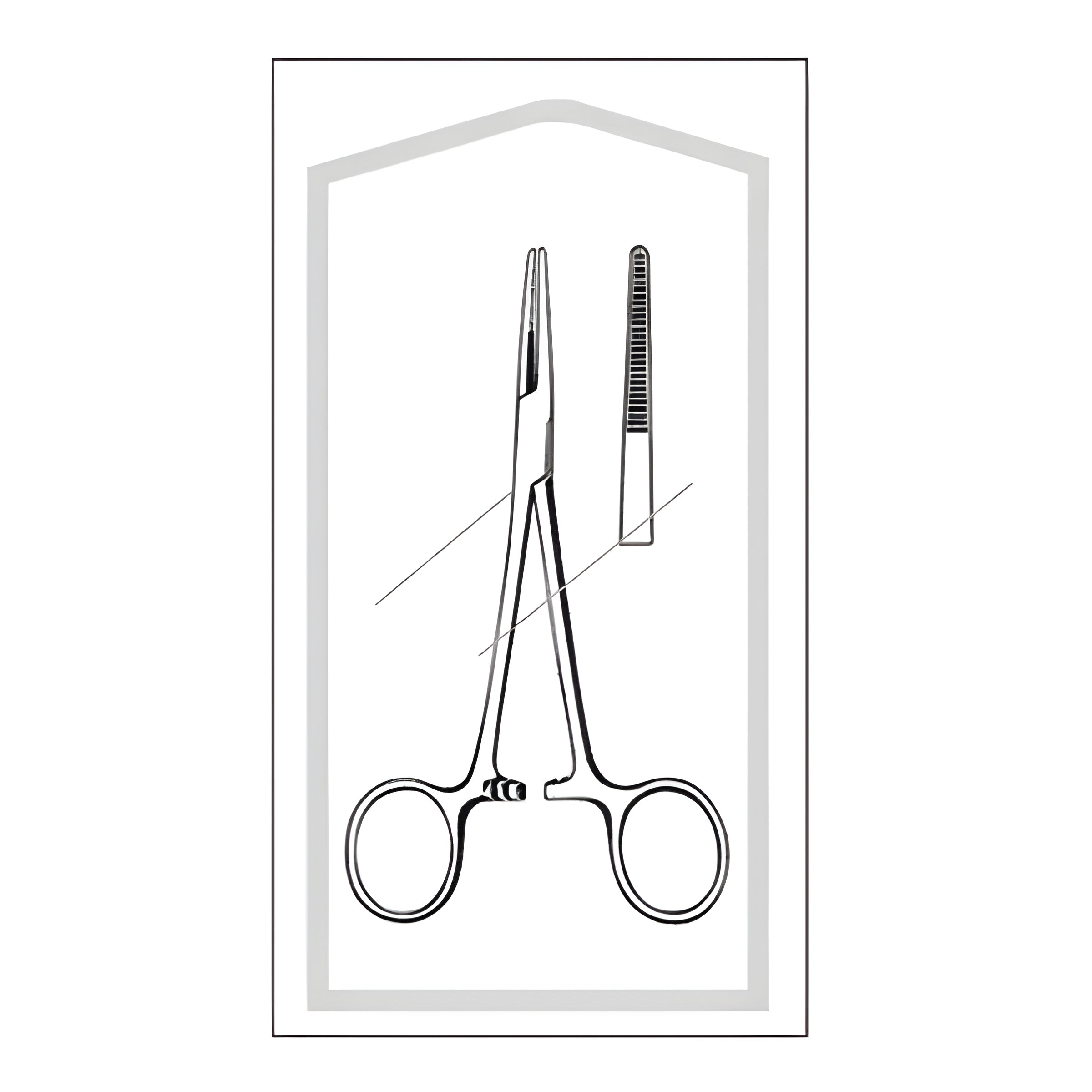 Hemostatic Forceps Econo Sterile Kelly 5-1/2 Inch